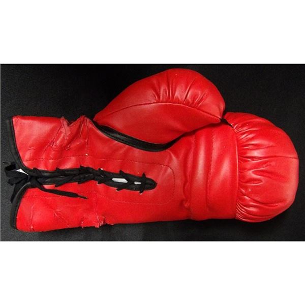Brandon Rios and Mike Alvarado Signed Red Boxing Glove