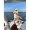 Image 6 : Louisiana Cajun Queen Fishing Adventures for 2 Anglers