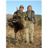 Image 4 : Mexican Gould's Turkey Hunt for 1 Hunter