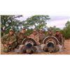 Image 5 : Mexican Gould's Turkey Hunt for 1 Hunter