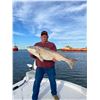 Image 7 : Louisiana PRIVATE BOAT ( 4 people) Cajun Queen Fishing Adventures