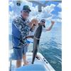 Image 9 : Louisiana PRIVATE BOAT ( 4 people) Cajun Queen Fishing Adventures