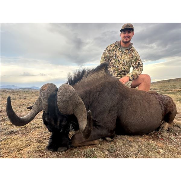 South African Female Cape Buffalo Hunt for 1 Hunter & 1 Observer
