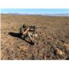 Image 5 : South African Female Cape Buffalo Hunt for 1 Hunter & 1 Observer