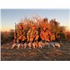 Image 1 : Texas Sandhill Crane Hunt for 2 Hunters