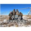 Image 4 : Texas Sandhill Crane Hunt for 2 Hunters