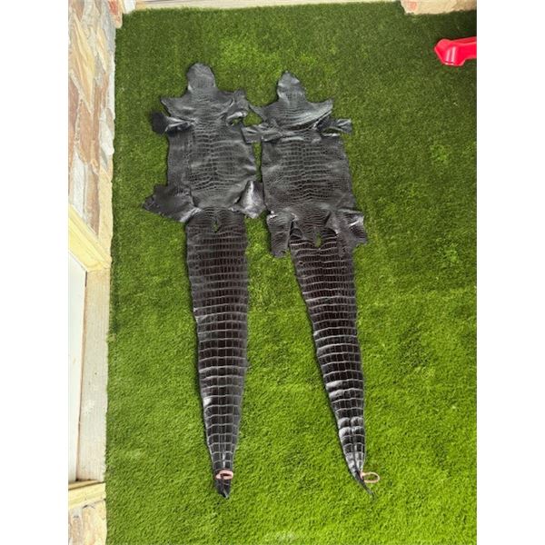 Pair of Tanned American Alligator Hides  - Black