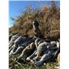 Image 1 : Texas Sandhill Crane Hunt for 1 Hunter