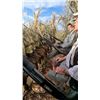 Image 8 : Texas Sandhill Crane Hunt for 1 Hunter