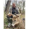 Image 3 : Missouri Pheasant Hunt for 1 Hunter
