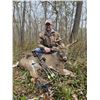Image 9 : Missouri Pheasant Hunt for 1 Hunter