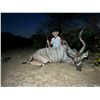 Image 2 : Namibian High End Cull Hunt for 1 hunter & 1 non hunter