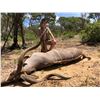 Image 3 : Namibian High End Cull Hunt for 1 hunter & 1 non hunter