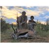 Image 4 : Namibian High End Cull Hunt for 1 hunter & 1 non hunter