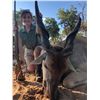 Image 5 : Namibian High End Cull Hunt for 1 hunter & 1 non hunter