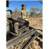 Image 7 : Namibian High End Cull Hunt for 1 hunter & 1 non hunter