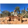Image 8 : Namibian High End Cull Hunt for 1 hunter & 1 non hunter