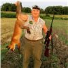 Image 3 : Serbian Roe Deer Hunt for 2 hunters