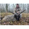 Image 6 : Serbian Roe Deer Hunt for 2 hunters