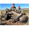 Image 1 : South African - Plains Game Hunt for 2 Hunters