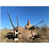 Image 4 : South African - Plains Game Hunt for 2 Hunters