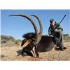 Image 5 : South African - Plains Game Hunt for 2 Hunters