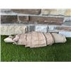 Image 3 : 11ft Large American Alligator Hide - Saddle Color