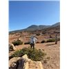 Image 11 : Morocco Adventure for 4 people