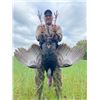 Image 16 : Missouri Eastern Turkey Hunt for 2 Hunters