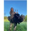 Image 17 : Missouri Eastern Turkey Hunt for 2 Hunters