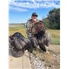 Image 3 : Missouri Eastern Turkey Hunt for 2 Hunters