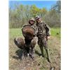Image 4 : Missouri Eastern Turkey Hunt for 2 Hunters