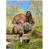Image 5 : Missouri Eastern Turkey Hunt for 2 Hunters