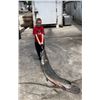 Image 5 : Louisiana Garfish Trip for 4 Anglers