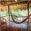 Image 20 : Belize Bird Watching for 2 people