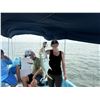 Image 22 : Belize Bird Watching for 2 people
