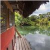 Image 25 : Belize Bird Watching for 2 people