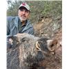 Image 4 : Barbary Pig Hunt in Morocco for 1 Hunter & 1 Observer