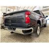 Image 14 : PARKSVILLE - 2020 CHEVROLET SILVERADO GREY 174171 KMS - D352893