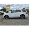 Image 15 : DUNCAN - 2011 FORD ESCAPE WHITE 221398 KMS - DC68165