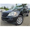 Image 1 : DUNCAN - 2006 MERCEDES-BENZ M-CLASS BLACK  190565 KMS - J082486