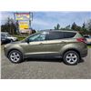 Image 15 : DUNCAN - 2013 FORD ESCAPE GREEN 196365 KMS - JB73023