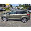 Image 16 : DUNCAN - 2013 FORD ESCAPE GREEN 196365 KMS - JB73023
