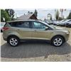Image 7 : DUNCAN - 2013 FORD ESCAPE GREEN 196365 KMS - JB73023