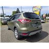 Image 13 : DUNCAN - 2013 FORD ESCAPE GREEN 196365 KMS - JB73023
