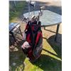 Image 1 : 419 -- RED GOLF BAG