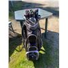 Image 1 : 420 -- BLACK GOLF BAG