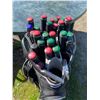 Image 2 : 420 -- BLACK GOLF BAG