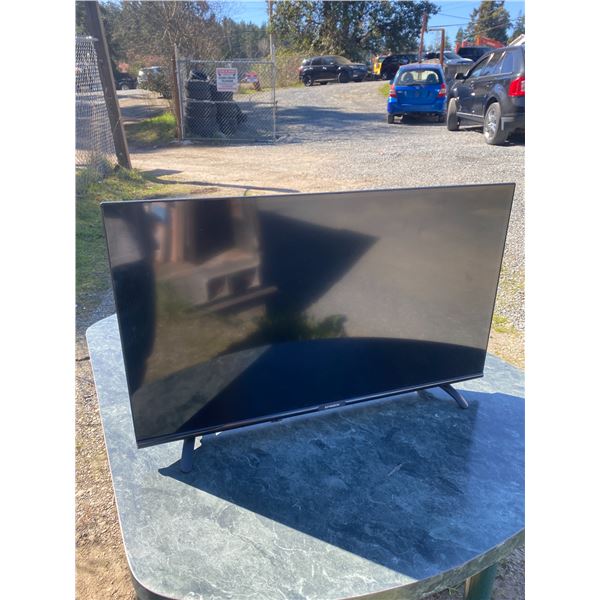 424 -- SKYWORTH TV