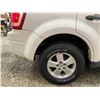 Image 27 : PARKSVILLE - 2011 FORD ESCAPE WHITE 200982 KMS - BB68723